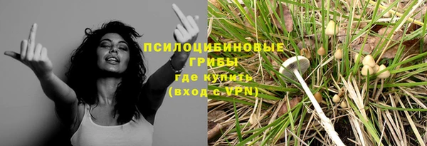 твердый Новозыбков